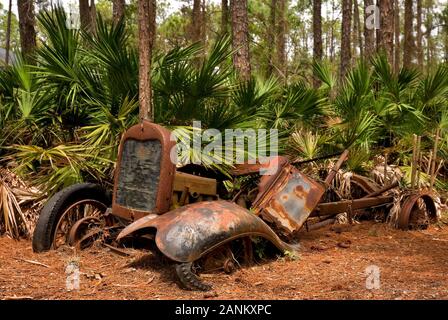 Verlassene alte Fahrzeuge in einem Wald in Florida Stockfoto