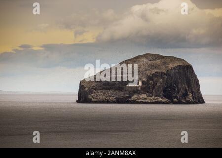 Der Bass Rock einem vulkanischen Felsen die Heimat von Tausenden von Seevögeln auf dem äußeren Reichweiten des Firth von weiter Stockfoto