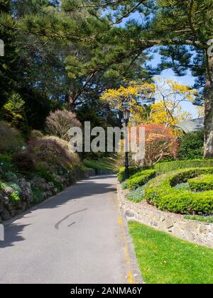 Frühling in den Wellington Botanischen Garten Stockfoto