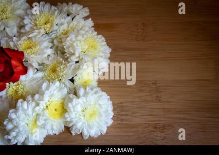 Gelbe und weiße Chrysantheme Blumen. Verwenden Sie für Blumen und Natur Konzepte Stockfoto