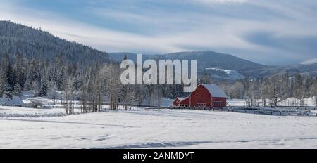 Ein panoramafoto der kahlen Bäume rund um diese rote Scheune stehend in einem schneebedeckten Feld im Norden von Idaho. Stockfoto