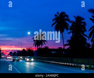 Sonnenuntergang Licht hinter der Kokospalmen und der Straße. Stockfoto