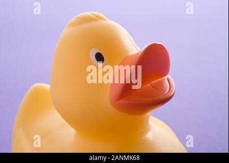 Badeente - Rubber Duck Stockfoto