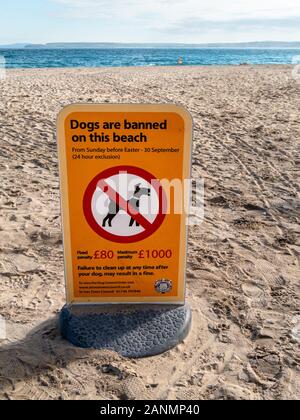 Keine Hunde am Strand anmelden, Porthminster Beach, St Ives, Cornwall, England, Großbritannien Stockfoto