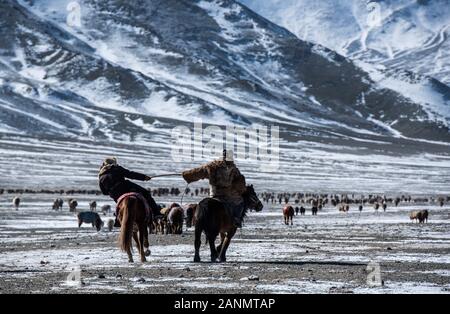 Herdenherden in den verschneiten Weiten der westlichen mongolei Stockfoto