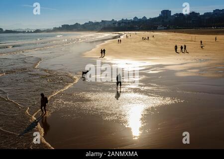 Panoramaaussicht, Sardinero Strand von Der Piquio Gärten bei Sonnenuntergang, Santander. Kantabrien, Nordspanien. Europa Stockfoto