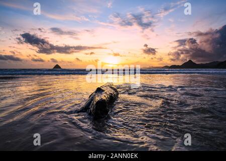 (Selektive Fokus) atemberaubenden Sonnenuntergang über einem Meer mit Wellen, die an einem schönen Strand mit einem Baumstamm im Vordergrund. Stockfoto