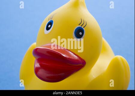 Badeente - Rubber Duck Stockfoto