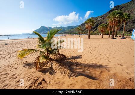 Playa de Las Teresitas ist der schönste Strand auf der Kanarischen Insel Teneriffa. Der weiße Sand aus der Sahara ausgeliefert. Stockfoto