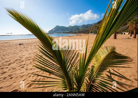 Playa de Las Teresitas ist der schönste Strand auf der Kanarischen Insel Teneriffa. Der weiße Sand aus der Sahara ausgeliefert. Stockfoto