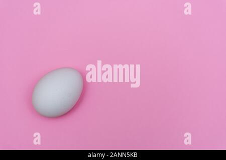 Ostern Urlaub flach mit weißen Ei auf eine solide rosa Pastell Hintergrund mit kopieren. Stockfoto