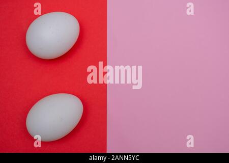 Zwei Ostern Urlaub flach mit weißen Ei auf eine solide hell rot und rosa Pastell- und pulsierender Hintergrund mit kopieren. Stockfoto