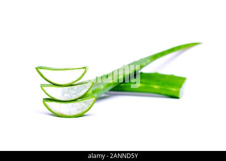 Stück grün Aloe auf leeren weißen Tisch isoliert, close-up Stockfoto