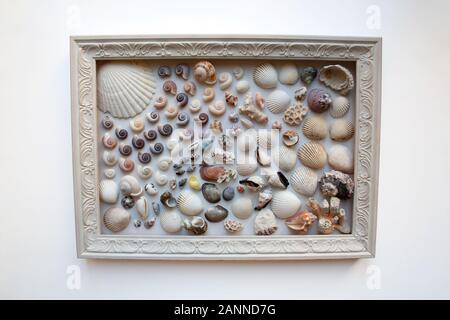 Muscheln und Korallen in vintage Holzrahmen auf weißem Hintergrund aus einem hohen Winkel anzeigen isoliert Stockfoto