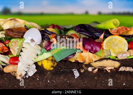 Bunte Komposthaufen von rotting Küche Gemüse, bestehend aus Zitrone und Zwiebel schält und Blumenkohl Blätter Stockfoto