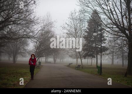 Malerischer Blick auf einen Pfad durch die schönen öffentlichen Park von Izvor in einer nebligen Winter morgen. Izvor Park von der Innenstadt von Bukarest, Rumänien, 2020 Stockfoto