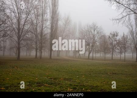 Malerischer Blick auf einen Pfad durch die schönen öffentlichen Park von Izvor in einer nebligen Winter morgen. Izvor Park von der Innenstadt von Bukarest, Rumänien, 2020 Stockfoto