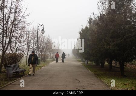 Malerischer Blick auf einen Pfad durch die schönen öffentlichen Park von Izvor in einer nebligen Winter morgen. Izvor Park von der Innenstadt von Bukarest, Rumänien, 2020 Stockfoto