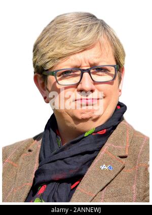 Joanna Cherry MP (SNP: Edinburgh South West) SNP Justiz und Inneres Sprecher. März 2019 Stockfoto