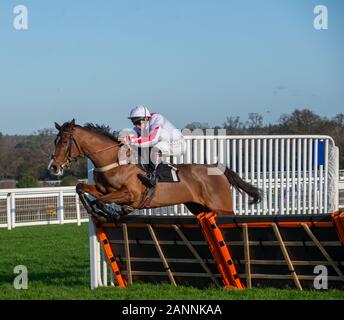 Ascot, Berkshire, Großbritannien. 18 Jan, 2020. Jockey Jamie Moore gewinnt das Ascot IJF Ambassador Programm Juvenile Hurdle Race (Klasse 3) auf Pferd Gosen. Eigentümer Steven Packham, Trainer Gary Moore, Züchter Christophe Tourlorge. Credit: Maureen McLean/Alamy leben Nachrichten Stockfoto