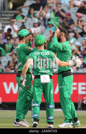 MCG, Melbourne, Victoria, Australien, 18. Januar 2020 - KFC Big Bash Liga (BBL) Match 41 - Die Melbourne Sterne Männer spielen die Perth Scorchers Männer - die Sterne feiern den Wicket von Tim David - Melbourne Sterne gewann durch 10 Durchläufe.-Bild Brett Keating - alamy Leben Nachrichten. Stockfoto