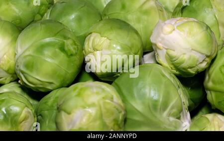 Essen in der Küche zu kochen. Stockfoto