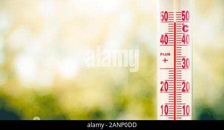 Außenthermometer misuring 50 Grad Hitze mit aus Pflanzen Hintergrund und kopieren Raum Stockfoto