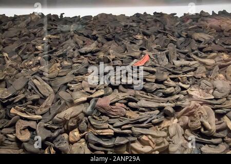 Physische Beweise von Verbrechen Ausstellung in Block 5 (Baracke 5) im nationalsozialistischen deutschen Konzentrationslager Auschwitz I (Stammlager Auschwitz I Konzentrationslager Stockfoto