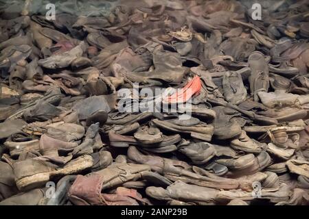 Physische Beweise von Verbrechen Ausstellung in Block 5 (Baracke 5) im nationalsozialistischen deutschen Konzentrationslager Auschwitz I (Stammlager Auschwitz I Konzentrationslager Stockfoto