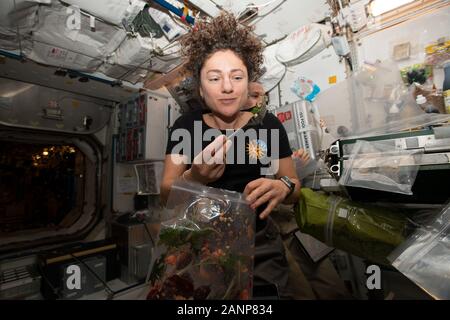 ISS - 30 Okt 2019 - NASA-Astronaut Jessica Meir dines auf frischen Mizuna senfgrüns sie früher am Tag an Bord der Internationalen Raumstation Sta geerntet Stockfoto