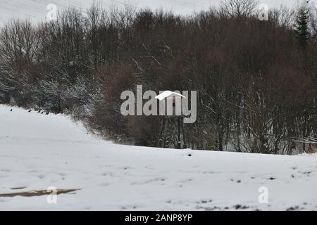 Holz- Jagd im Winter am Rande des Waldes sitzen Stockfoto