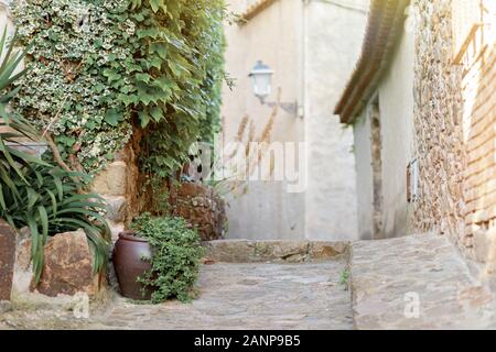 Straße einer antiken Stadt in Spanien mit Pflanzen in Töpfen und Pflastersteinen. Stockfoto