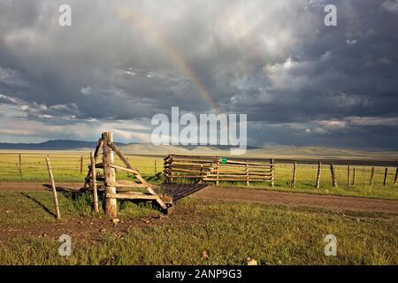 MT 00388-00 ... MONTANA - Cattleguard auf der Westseite der Straße nach Lima Behälter nach einem Nachmittag Gewitter. Stockfoto