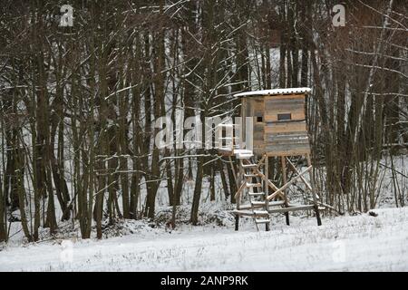 Holz- Jagd im Winter am Rande des Waldes sitzen Stockfoto