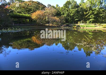 Blick auf den Shinjuku Central Park, Tokio Stockfoto