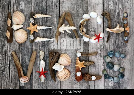 Zusammenfassung von Treibholz, Muscheln und Steine bilden das Wort Strand Vibes auf rustikalem Holz Hintergrund. Sommer Urlaub Thema. Flach. Stockfoto