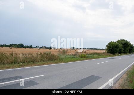 Runde Strohballen nach der Ernte in einem großen Feld auf einer Straße während des Tages. Stockfoto