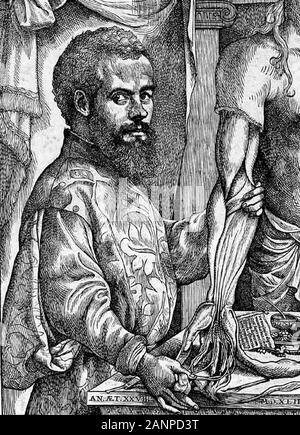 Andreas Vesalius (1514-1564) Flämische Anatom, Arzt und Autor eines der einflussreichsten Bücher auf die menschliche Anatomie, De Humani Corporis Fabrica (Auf das Gewebe des menschlichen Körpers) Stockfoto