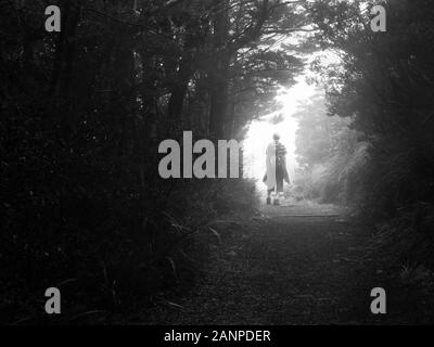 Mann steht allein in der Betrachtung im mysteriösen Nebelwald im Tongariro National Park, Neuseeland Stockfoto