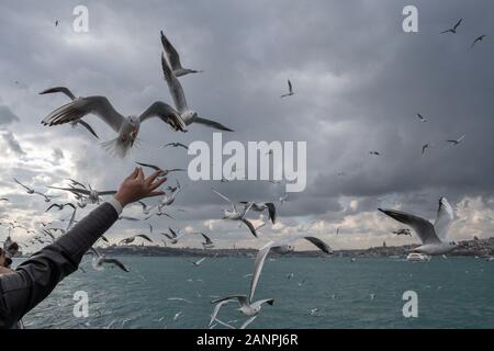 Den Bosporus in Istanbul, Türkei Stockfoto