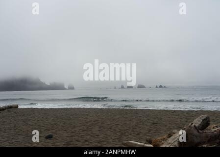 Nebligen Strand, in der Nähe von La Push, Wave und Nebel, Olympic National Park, Washington State, USA Stockfoto