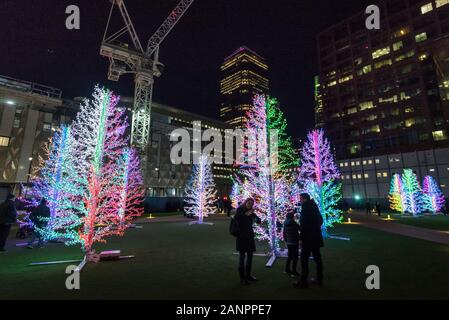 London, Großbritannien. 18. Januar 2020. SASHA Bäume von Adam Dekolicht auf der sechsten Winter Lights Festival in Canary Wharf. 25 Licht Kunst und interaktiven Installationen internationaler Künstler sind auf dem Display für die Öffentlichkeit zu genießen, bis 25. Januar 2020.. Credit: Stephen Chung/Alamy leben Nachrichten Stockfoto