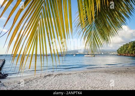 Schöner Sandstrand mit Palmen und Pier mit Boote und Yachten im Anse a l'Ane Strand mit Blick auf Fort-de-France, Martinique, Karibik Stockfoto