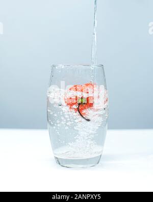 Der Habanero (Ata-Rodo in Yoruba Sprache) in einem Glas Wasser Stockfoto