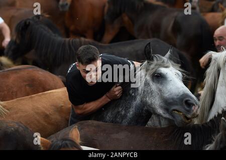 SABUCEDO, Spanien - 6./7. Juli 2019 - Die Rapa das Bestas (Scherung der Tiere) 2019 in Sabucedo Galicien Spanien statt Stockfoto