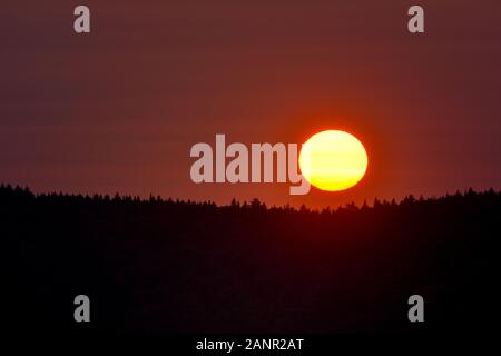 Silhouetten von Pinien bei Sonnenuntergang die Sonne über den Horizont verschwinden. Jacques-Cartier National Park, Kanada. Natur Konzept Stockfoto