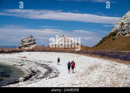 Kaikoura, Neuseeland: der Auftrieb durch das Erdbeben 2016 drückte Land aus dem Wasser, von den Weißen gezeigt - farbige Felsen nun klar der Gezeiten Stockfoto