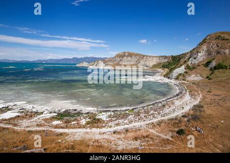 Kaikoura, Neuseeland: der Auftrieb durch das Erdbeben 2016 drückte Land aus dem Wasser, von den Weißen gezeigt - farbige Felsen nun klar der Gezeiten Stockfoto