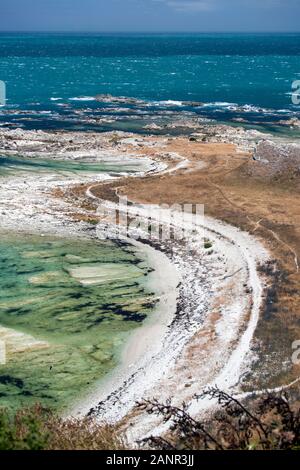 Kaikoura, Neuseeland: der Auftrieb durch das Erdbeben 2016 drückte Land aus dem Wasser, von den Weißen gezeigt - farbige Felsen nun klar der Gezeiten Stockfoto