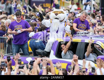 Baton Rouge, LA, USA. 18 Jan, 2020. Das LSU-Mike der Tiger mascot wirft eine Schale zu Fans während der LSU College Football nationale Meisterschaft Feier am Pete Maravich Assembly Center in Baton Rouge, LA. Jonathan Mailhes/CSM/Alamy leben Nachrichten Stockfoto